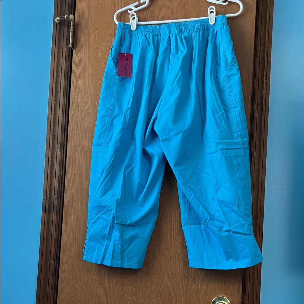 Blue Capri Pants - Picture 2 of 8